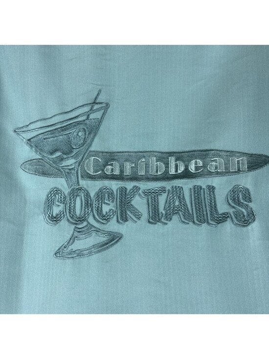 Caribbean Other - Caribbean Collared Casual Shirt Mens Sz L Sea Foam Green Shoulder To Hem 30”